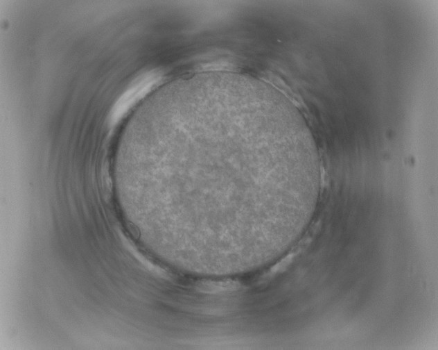 X0000074970245200609291945