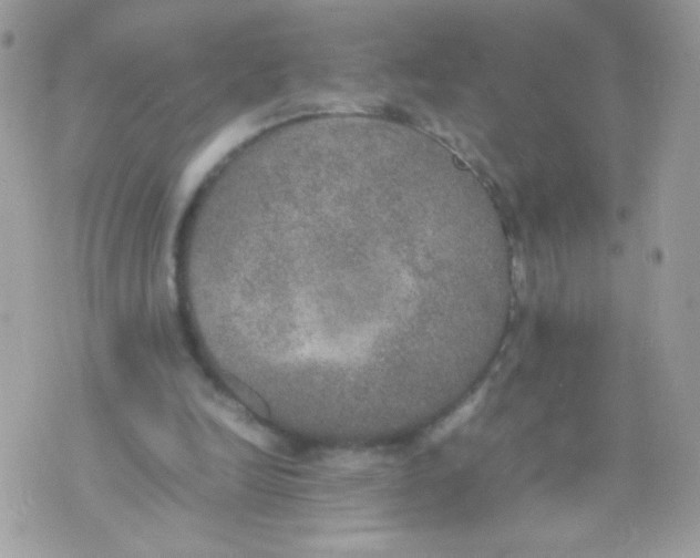 X0000074970246200609291945