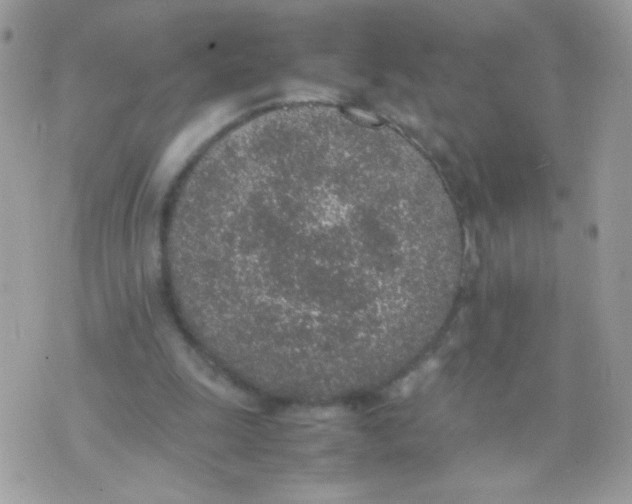 X0000074970247200609291945