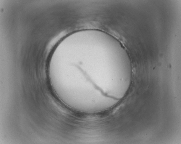 X0000074970248200609291945