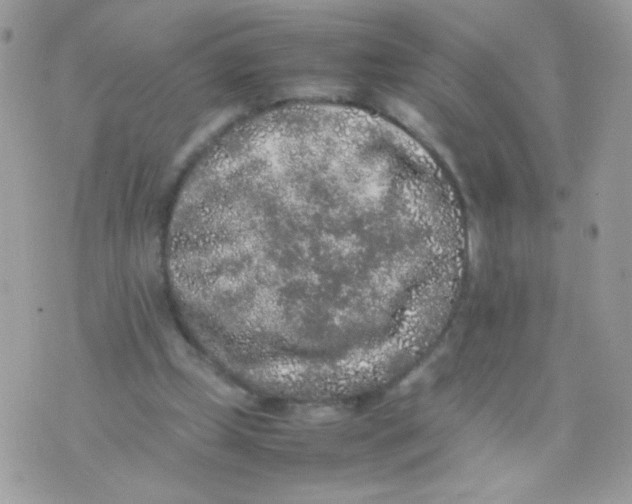 X0000074970249200609291945