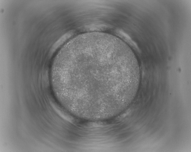 X0000074970250200609291945