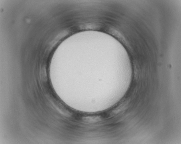 X0000074970251200609291945