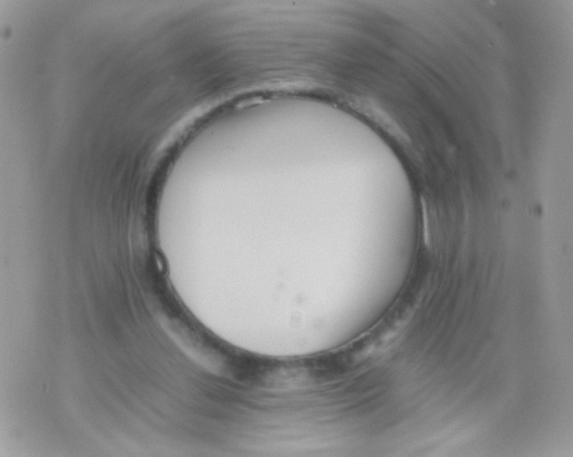 X0000074970252200609291945