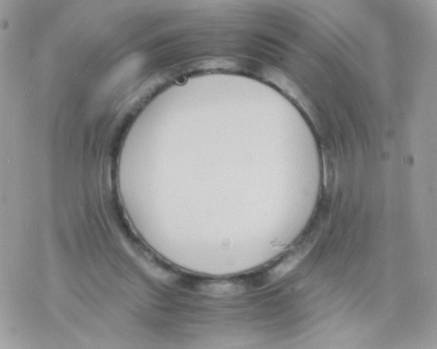 X0000074970253200609291945