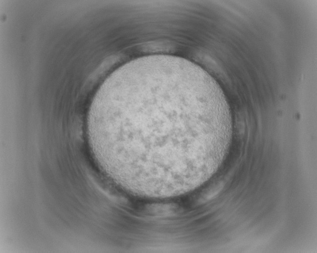 X0000074970255200609291945