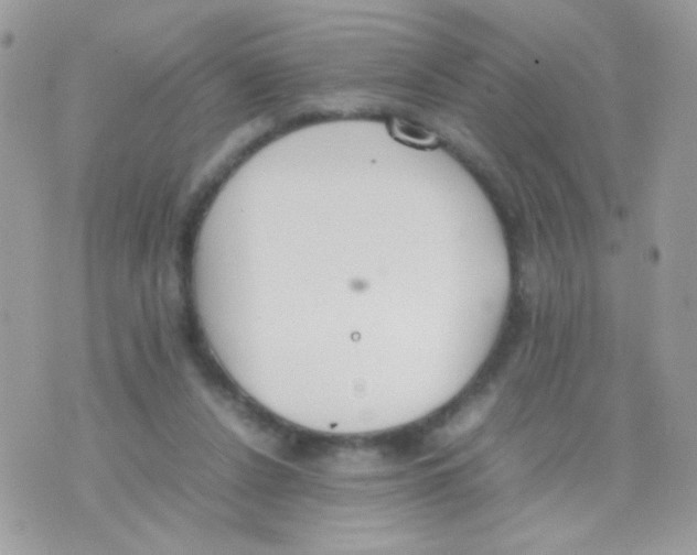 X0000074970256200609291945