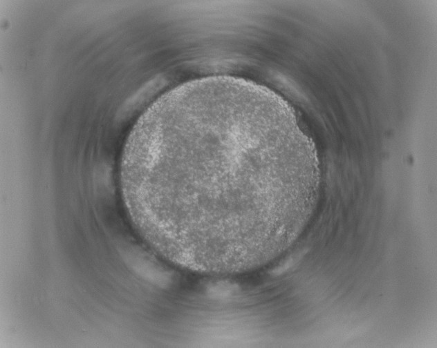 X0000074970258200609291945