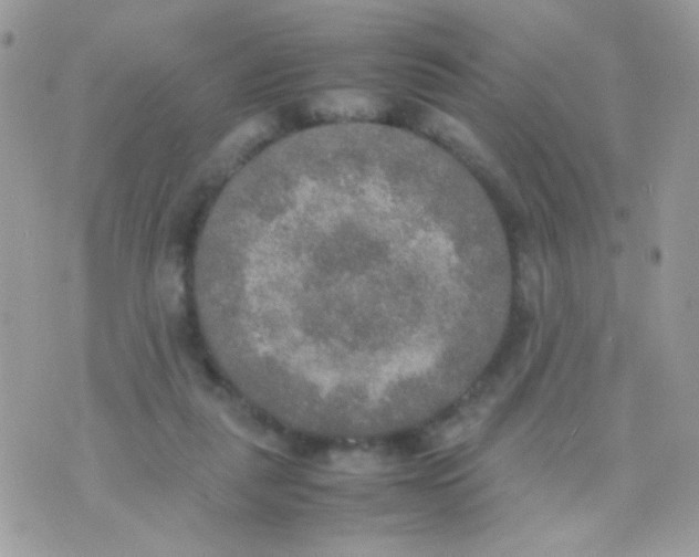 X0000074970259200609291945