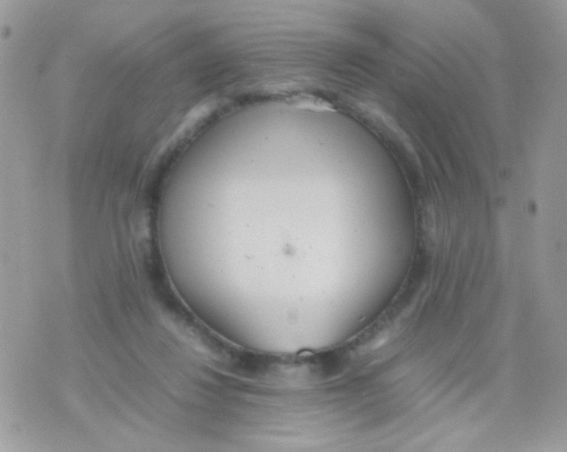 X0000074970260200609291945