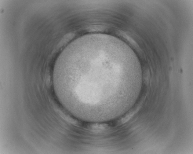 X0000074970261200609291945