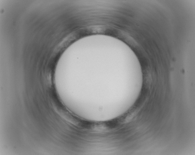 X0000074970262200609291945