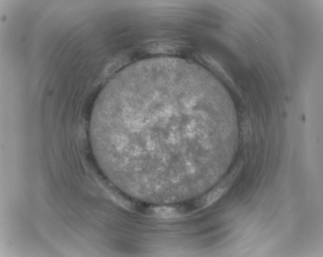 X0000074970265200609291945