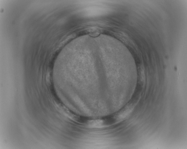 X0000074970266200609291945