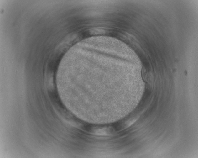 X0000074970267200609291945