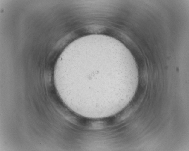 X0000074970268200609291945