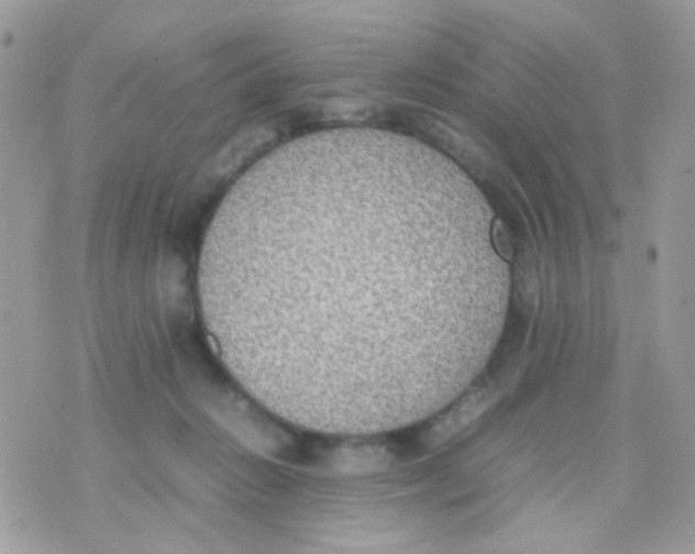 X0000074970270200609291945