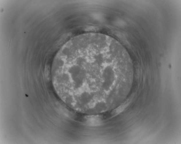 X0000074970273200609291945