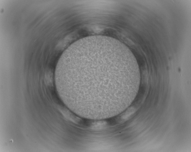 X0000074970274200609291945