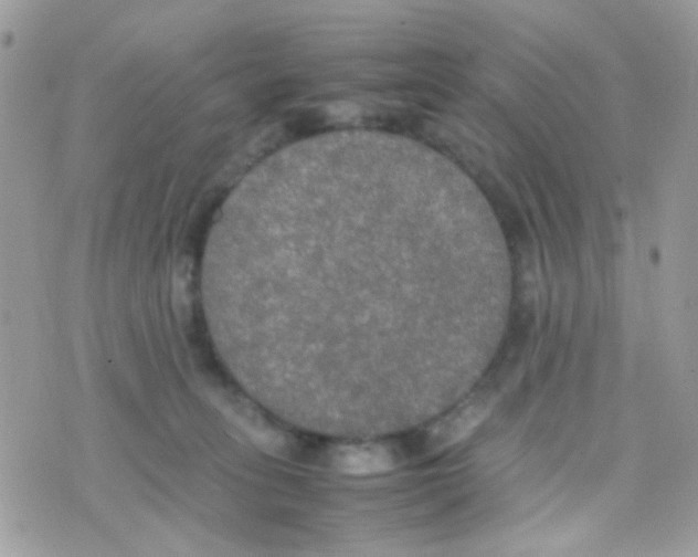 X0000074970275200609291946