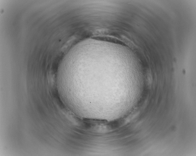 X0000074970276200609291946