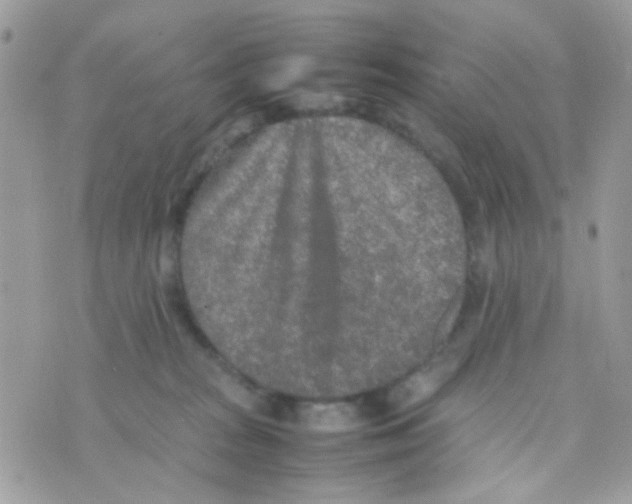 X0000074970277200609291946