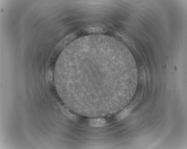 X0000074970281200609291946