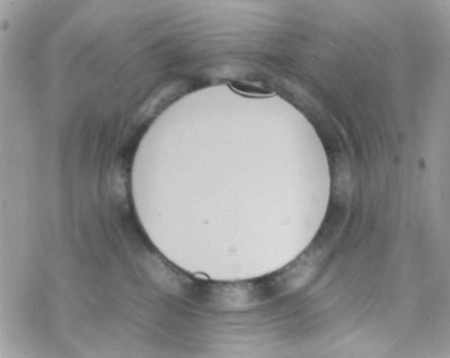 X0000074970282200609291946