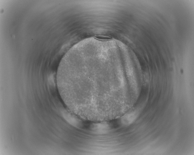 X0000074970286200609291946