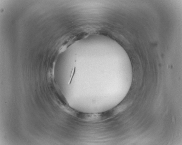 X0000074970288200609291946