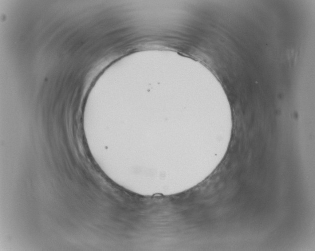 X0000074970289200609291945