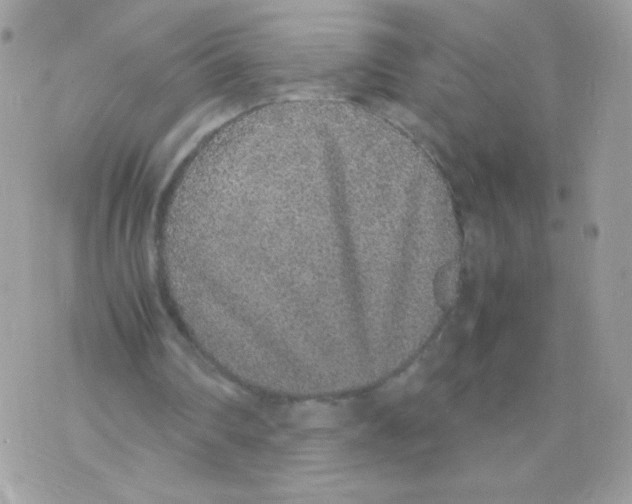 X0000074970290200609291945