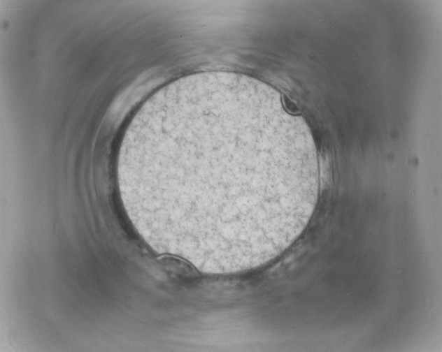 X0000074970291200609291945