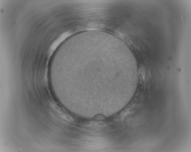 X0000074970292200609291945