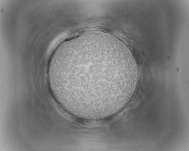 X0000074970293200609291945