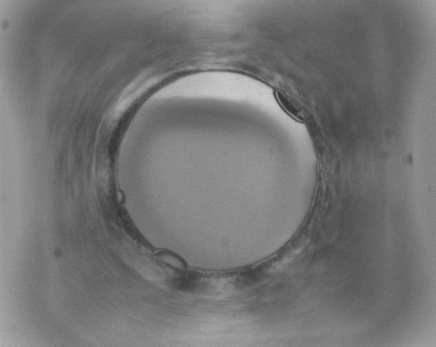 X0000074970295200609291945