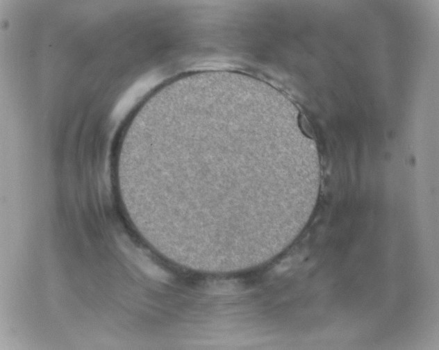 X0000074970296200609291945