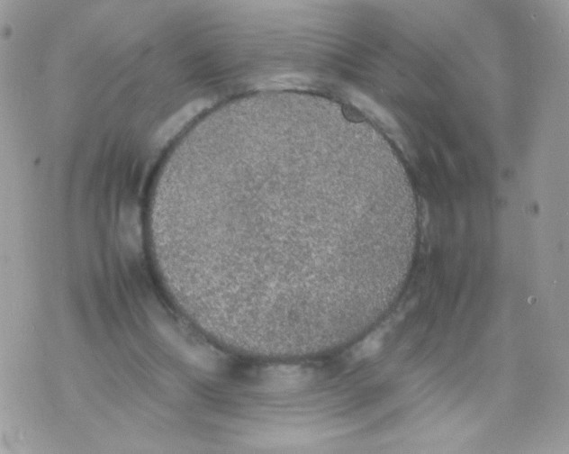 X0000074970298200609291945