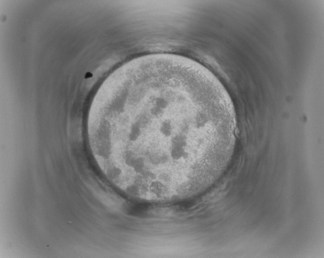 X0000074970299200609291945