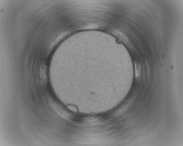 X0000074970300200609291945