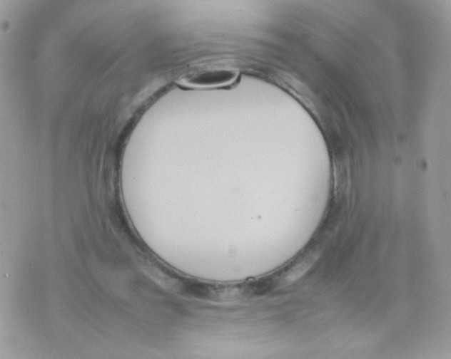 X0000074970301200609291945