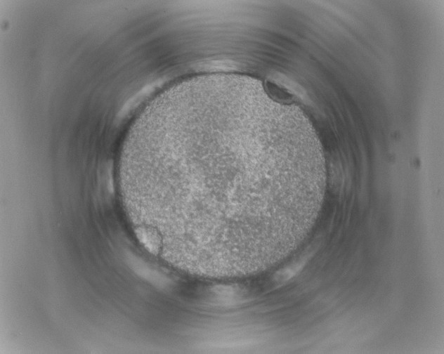 X0000074970302200609291945