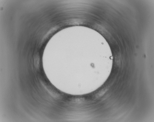 X0000074970304200609291945