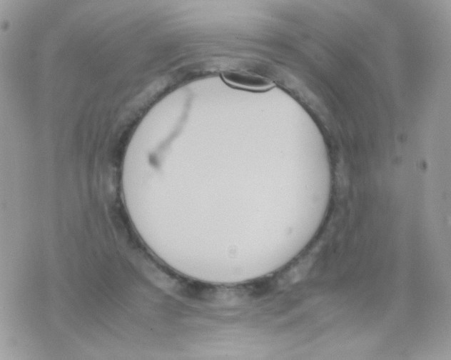 X0000074970305200609291945