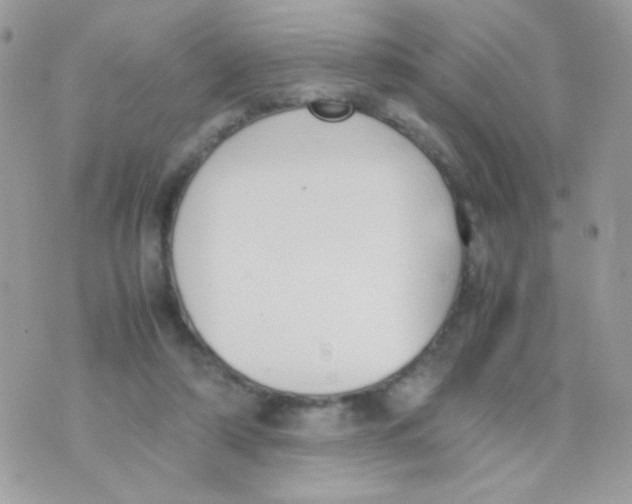 X0000074970306200609291945