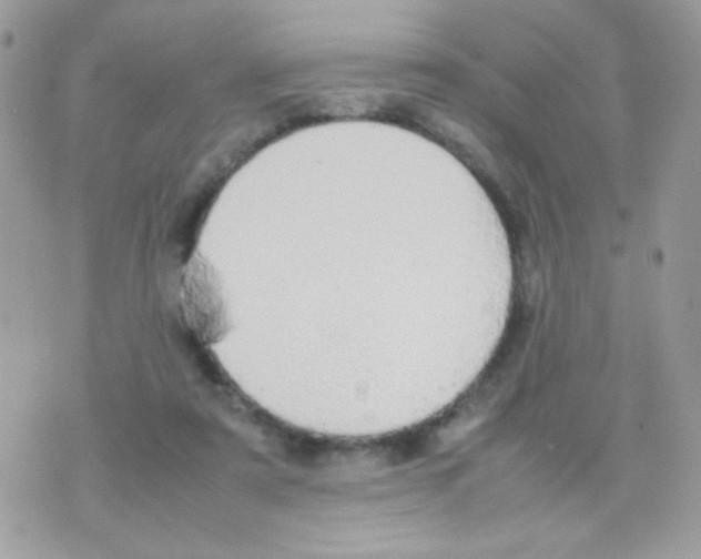 X0000074970307200609291945