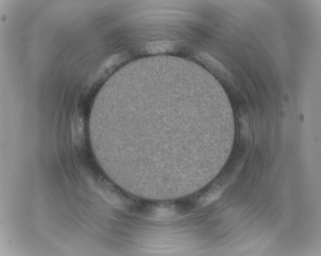 X0000074970308200609291945