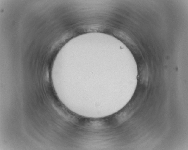 X0000074970310200609291945