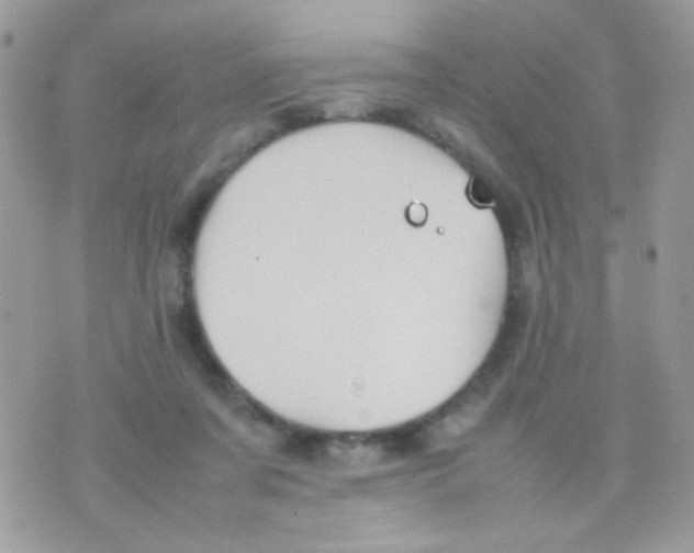 X0000074970311200609291945