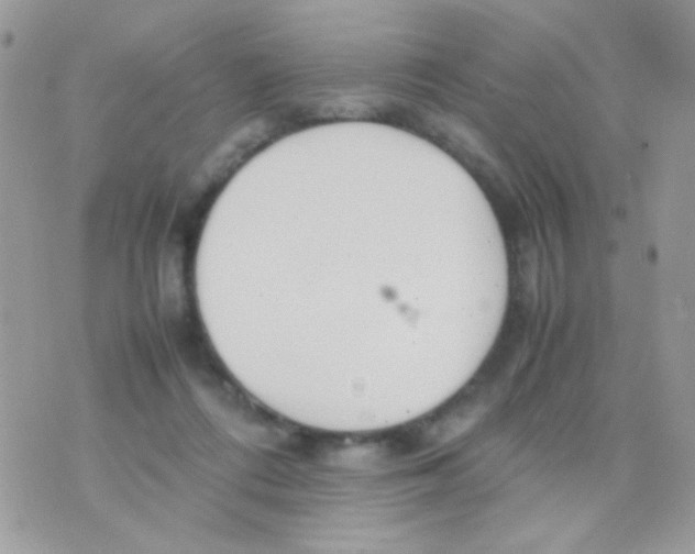 X0000074970312200609291945